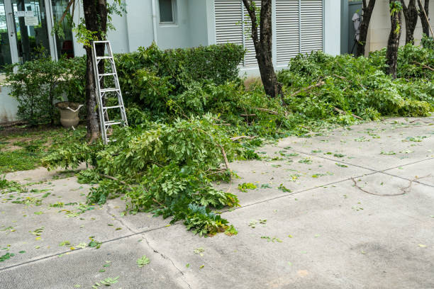  , USA Tree Care Services Pros